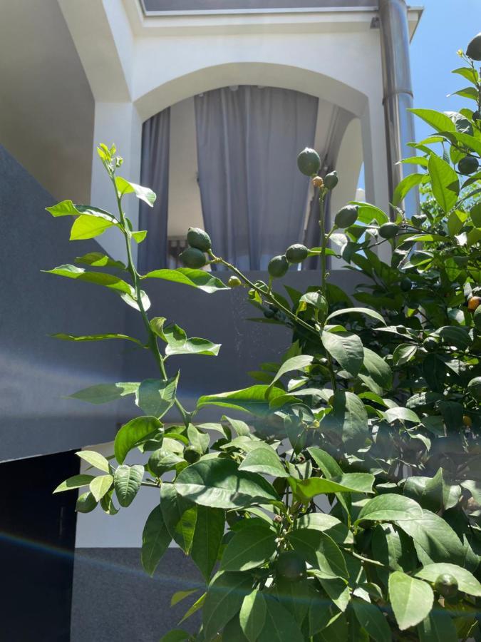 Mare Apartment Задар Екстериор снимка